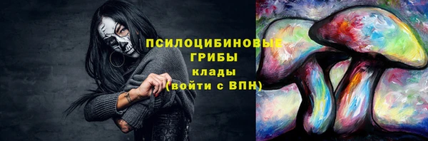 соль курить ск Михайлов