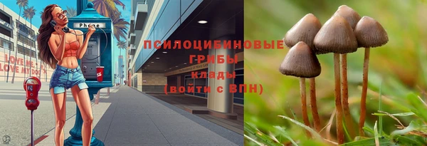 стафф Магадан