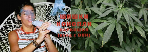 ГАЛЛЮЦИНОГЕННЫЕ ГРИБЫ Магас