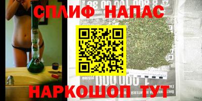 гидропоника Гусев