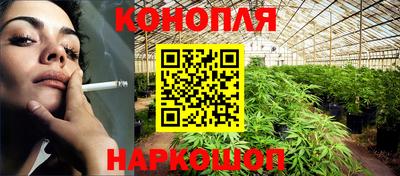 гидропоника Гусев